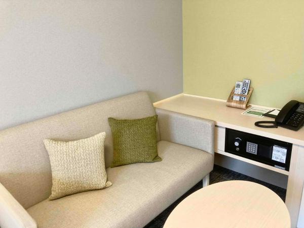 Dormy Inn Premium Ginza : photo 4 de la chambre chambre double standard