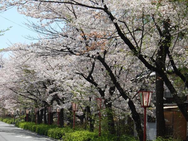 Aoi Hotel Kyoto : photo 10 de la chambre chambre lits jumeaux - 402