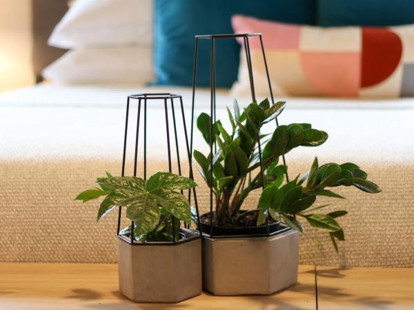 Stellar Suites : photo 3 de la chambre studio lit king-size