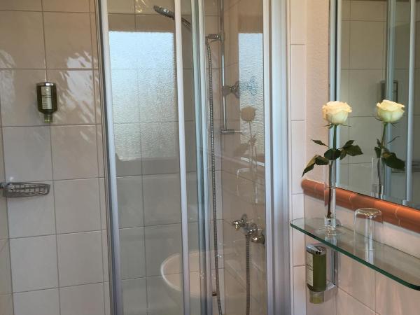 Hotel Sollner Hof : photo 10 de la chambre chambre simple standard