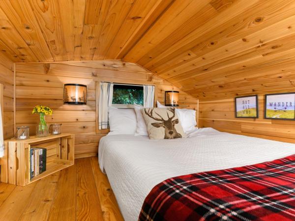 Tiny Digs - Hotel of Tiny Houses : photo 5 de la chambre studio lit queen-size de luxe 