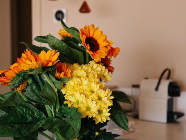 Résidence Châteauneuf : photo 3 de la chambre appartement supérieur