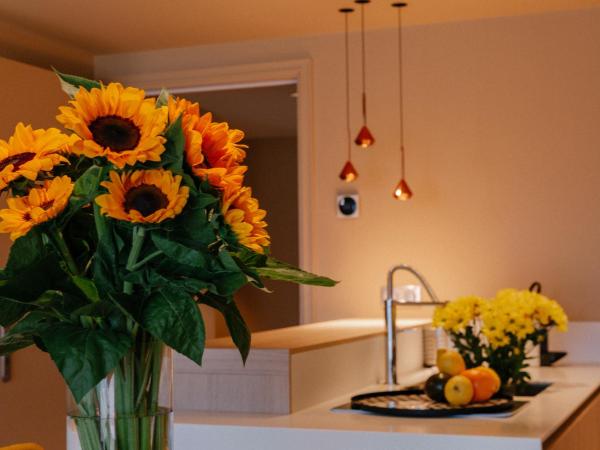 Résidence Châteauneuf : photo 2 de la chambre appartement supérieur