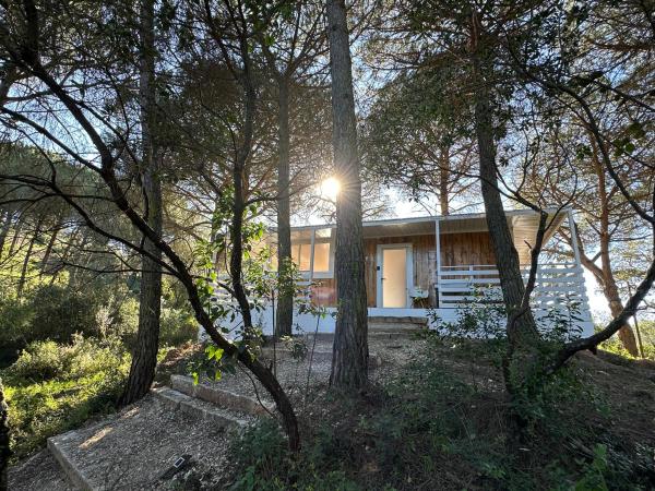 FALCOARIA de Santa Efigenia : photo 6 de la chambre bungalow supérieur