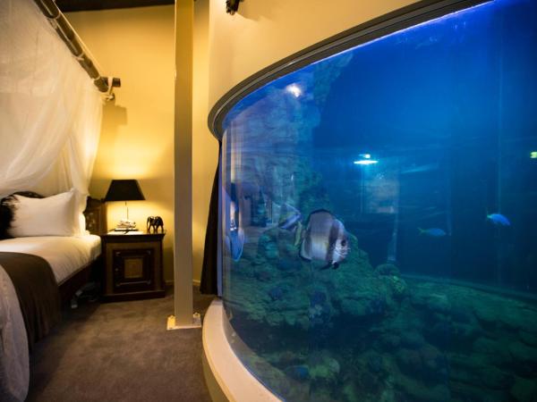 Jamala Wildlife Lodge : photo 5 de la chambre chambre récif