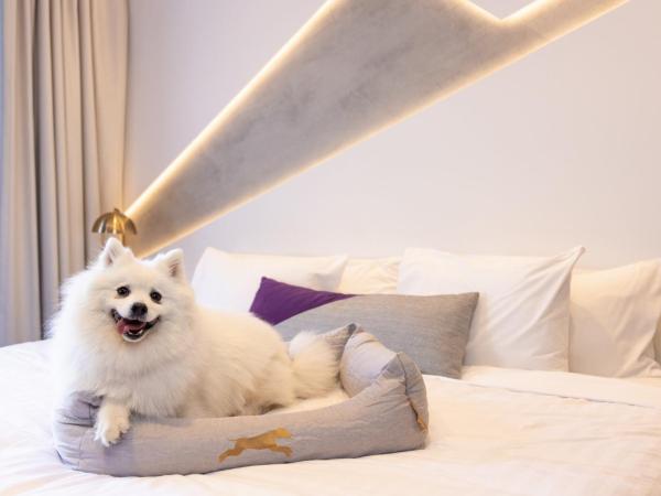 Hotel X Brisbane Fortitude Vly, Vignette Collection, an IHG Hotel : photo 4 de la chambre one king standard balcony room - dog friendly