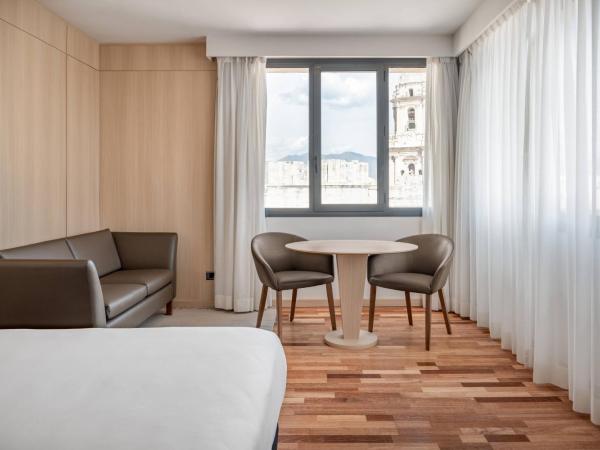 AC Hotel Málaga Palacio by Marriott : photo 1 de la chambre chambre lit king-size standard avec vue
