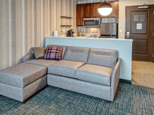 Residence Inn by Marriott Nashville Green Hills : photo 1 de la chambre studio lit king-size avec canapé-lit