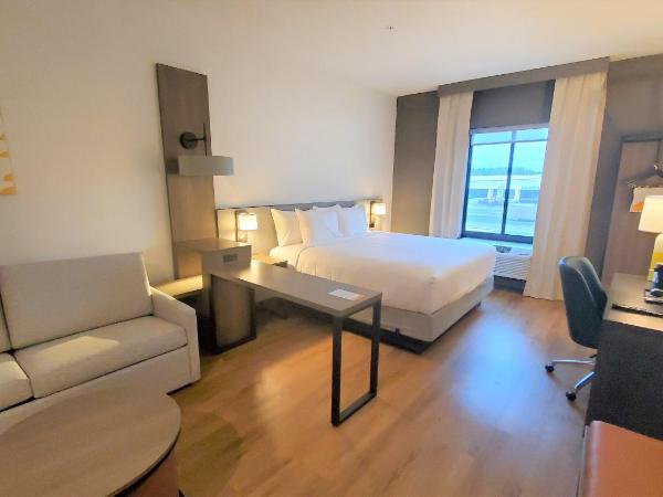 Comfort Inn & Suites Panama City Beach - Pier Park Area : photo 1 de la chambre one room suite with sofa bed - non smoking