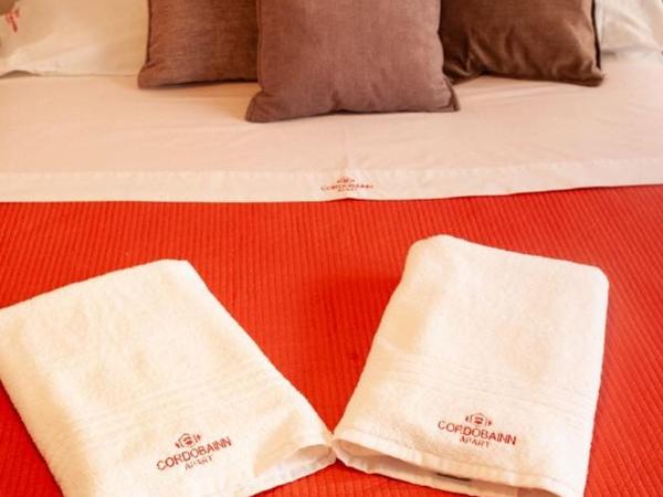 Cordoba Inn Apart Hotel : photo 1 de la chambre chambre double standard