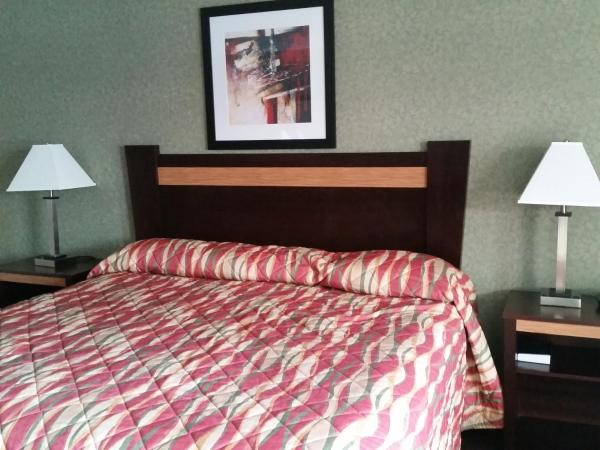 German Village Inn Motel : photo 1 de la chambre chambre lit queen-size - fumeurs