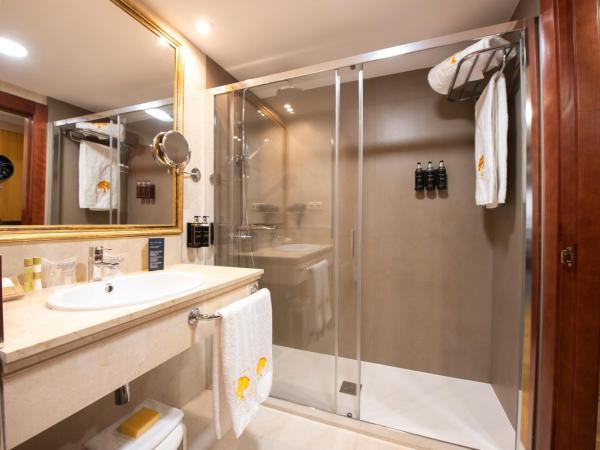 Eurostars Araguaney : photo 2 de la chambre chambre double ou lits jumeaux