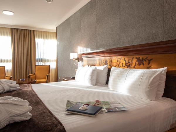 Eurostars Araguaney : photo 5 de la chambre chambre double ou lits jumeaux