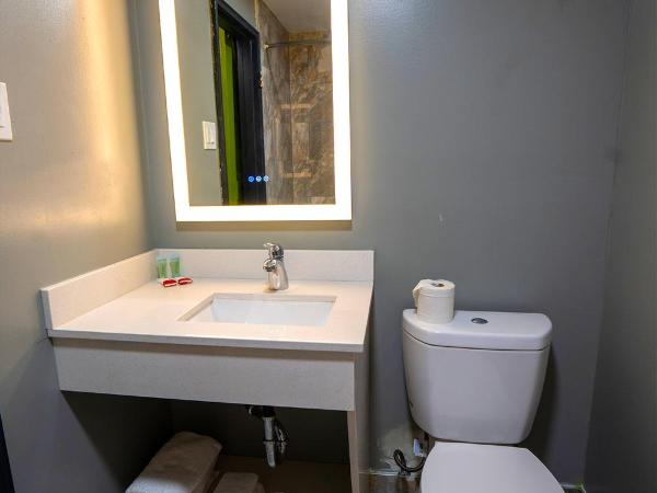 Philly Inn & Suites : photo 6 de la chambre chambre double standard