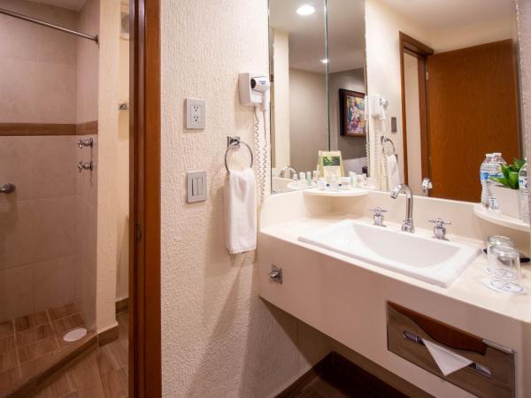 Hotel Guadalajara Plaza Expo : photo 3 de la chambre chambre lit queen-size