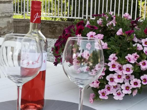 Balaton Apartman Füred : photo 2 de la chambre appartement 2 chambres