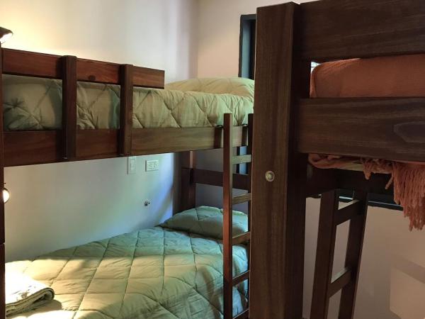 Lapacho Hostel Salta Coliving : photo 6 de la chambre chambre quadruple