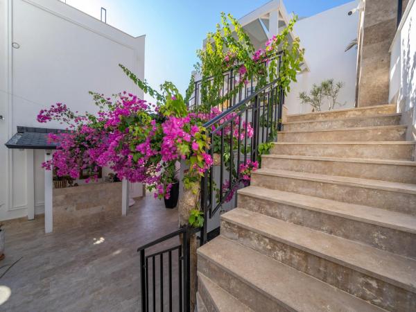 Noa Suite Hotel Only Adult : photo 4 de la chambre appartement