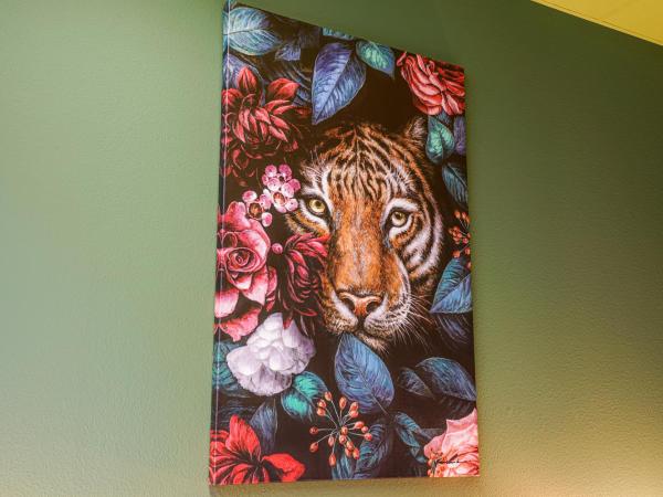 LaLeLu Hostel Dresden : photo 7 de la chambre chambre double standard avec salle de bains commune