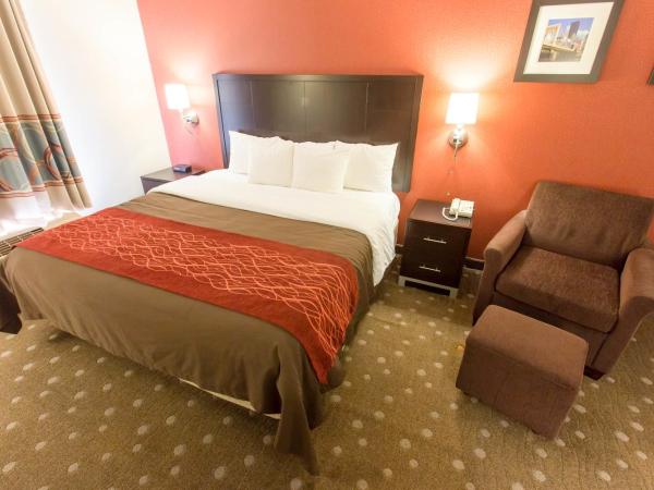 Comfort Inn : photo 3 de la chambre suite lit king-size – non-fumeurs