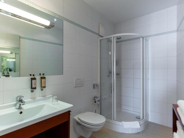 Hotel Sandwirth : photo 5 de la chambre chambre simple standard