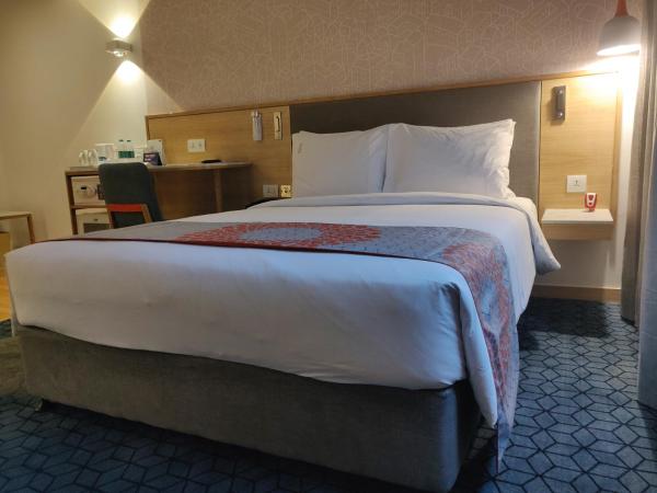 Holiday Inn Express Gurugram Sector 50, an IHG Hotel : photo 3 de la chambre chambre lit queen-size accessible aux personnes à mobilité réduite