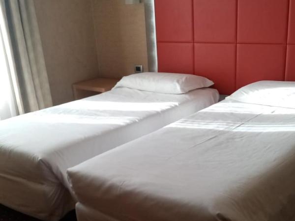 Hotel Susa : photo 1 de la chambre chambre lits jumeaux
