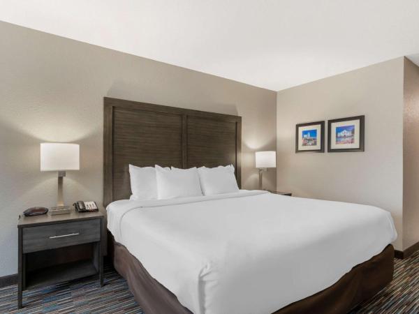 Comfort Inn & Suites Near Medical Center : photo 3 de la chambre chambre lit king-size