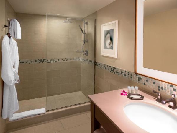 The Westin Fort Lauderdale Beach Resort : photo 2 de la chambre chambre traditionnelle avec 1 lit king-size