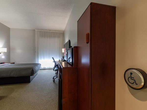 Hôtel & Suites Normandin Québec : photo 1 de la chambre chambre lit queen-size - accessible aux personnes à mobilité réduite