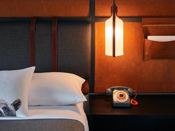 MOXY Denver Cherry Creek : photo 2 de la chambre chambre lit queen-size