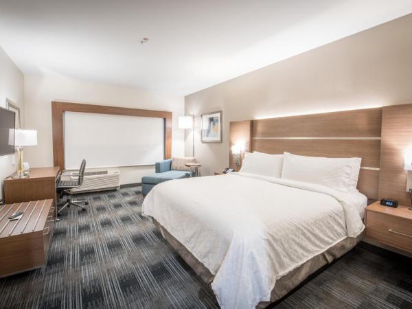 Holiday Inn Express & Suites - Houston Westchase - Westheimer, an IHG Hotel : photo 1 de la chambre chambre lit king-size loisirs - non-fumeurs