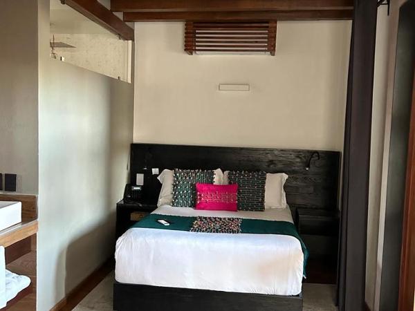 Hotel Boutique Rayón 50 : photo 3 de la chambre suite exécutive