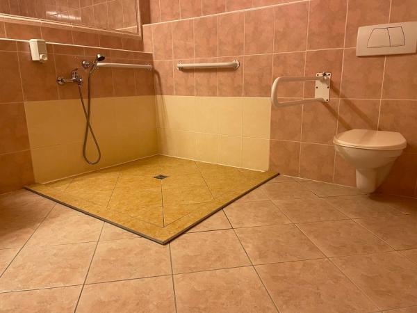 TOP HOTEL Praha : photo 3 de la chambre chambre lits jumeaux pour personnes à mobilité réduite