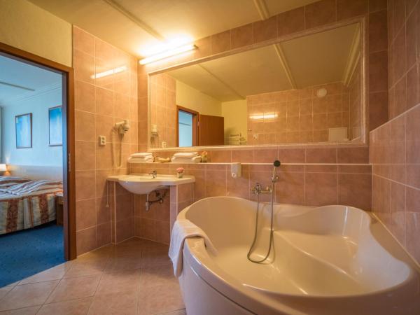 TOP HOTEL Praha : photo 2 de la chambre chambre lits jumeaux pour personnes à mobilité réduite