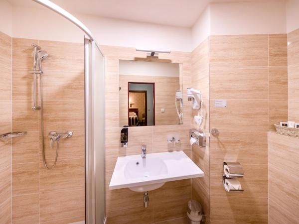 Hotel Meteor Plaza Prague : photo 4 de la chambre chambre simple