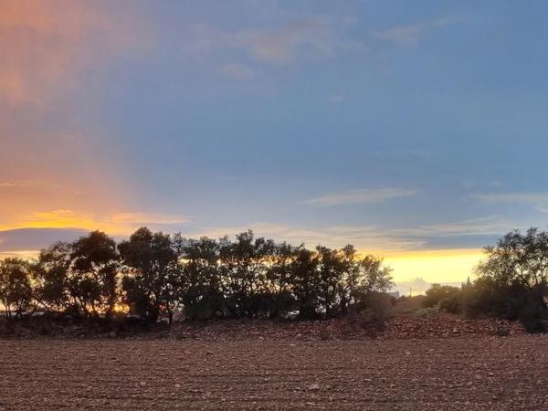 Dar Essaada : photo 4 de la chambre chambre triple de luxe