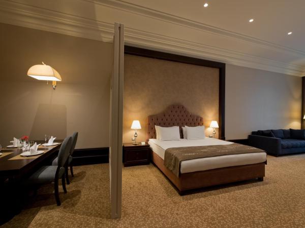 Vialand Palace Hotel : photo 5 de la chambre suite deluxe