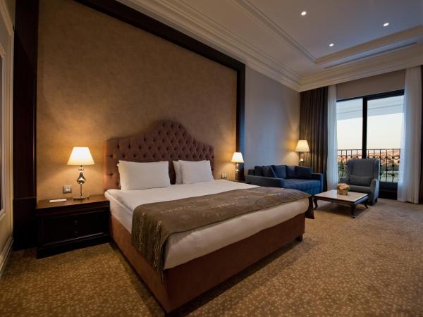 Vialand Palace Hotel : photo 2 de la chambre suite deluxe