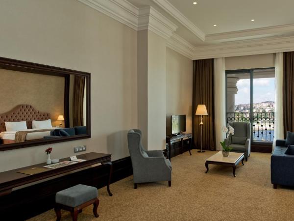 Vialand Palace Hotel : photo 2 de la chambre suite lit king-size