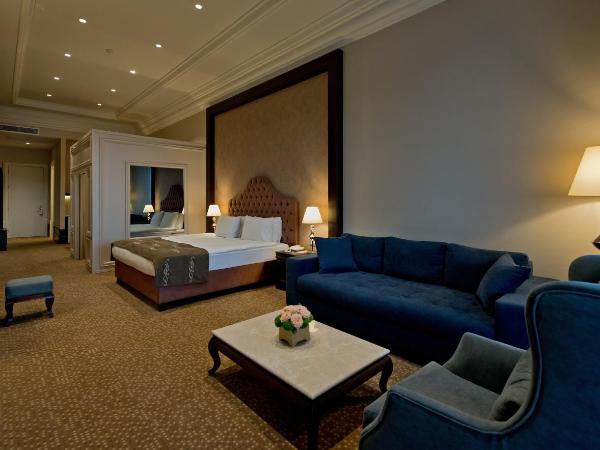 Vialand Palace Hotel : photo 1 de la chambre suite familiale