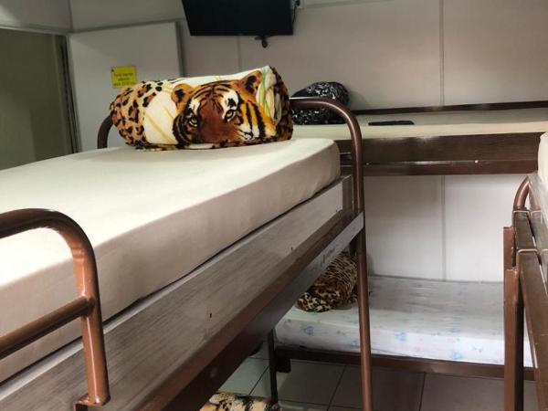 Hostel Horizonte de Minas : photo 1 de la chambre dortoir mixte de 6 lits