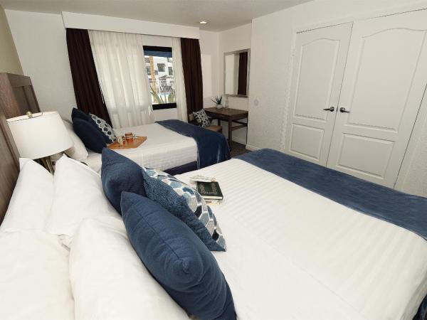 Serene Vegas Boutique Hotel Las Vegas : photo 3 de la chambre chambre avec 2 lits queen-size rqq