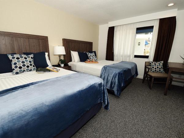 Serene Vegas Boutique Hotel Las Vegas : photo 1 de la chambre chambre avec 2 lits queen-size rqq