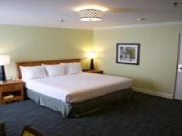 The University Inn at Emory : photo 3 de la chambre chambre lit king-size de luxe avec baignoire privée