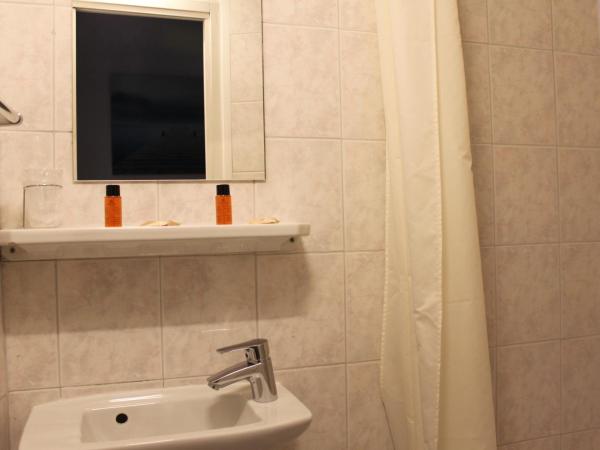 Hotel Danemark : photo 2 de la chambre chambre double avec toilettes communes