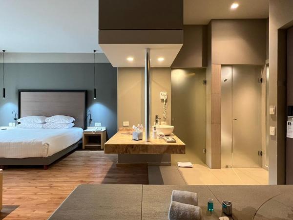 Ramada by Wyndham Mexico City Santa Fe : photo 3 de la chambre chambre lit king-size - non-fumeurs