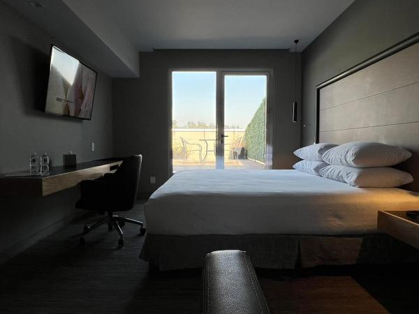 Ramada by Wyndham Mexico City Santa Fe : photo 3 de la chambre suite 1 lit king-size et terrasse - non-fumeurs