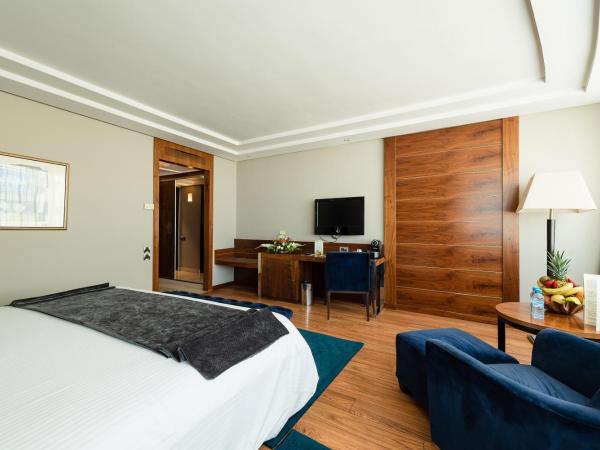 Le Palace d'Anfa : photo 3 de la chambre chambre simple premium