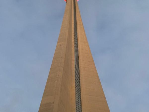 BIG Oasis Studio near Airport YYZ : photo 7 de la chambre studio